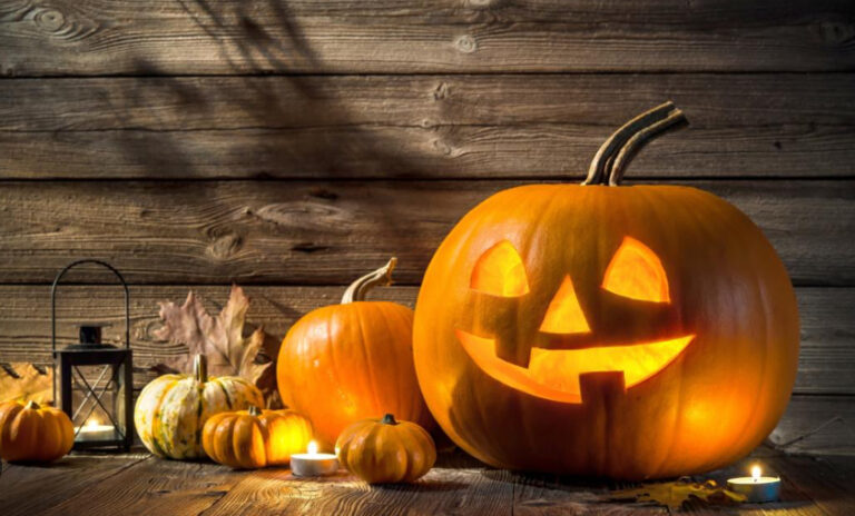 Halloween Dinner & Treat Bags